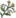 Icon Material duanchangcao.png