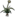 Icon Material sulongcao.png