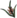Icon Material jinxiangfu.png