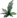 Icon Material xueshanjiuniucao.png