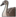 Icon Material yane.png