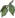 Icon Material mantianxiang.png