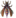 Icon Material ziwufeng.png