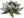 Icon Material tianshanxuelian.png
