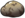 Icon Material shelizi.png