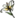 Icon Material changshengbaihe.png