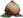 Icon Material jinmupantao.png