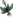 Icon Material anhunxiang.png