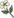 Icon Material suxinhua.png